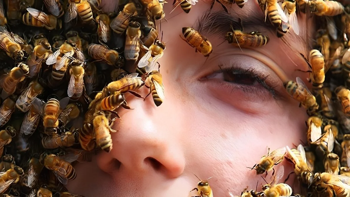 Нападение осы. Много пчел. Пчелы атакуют. Пчелы снятся.