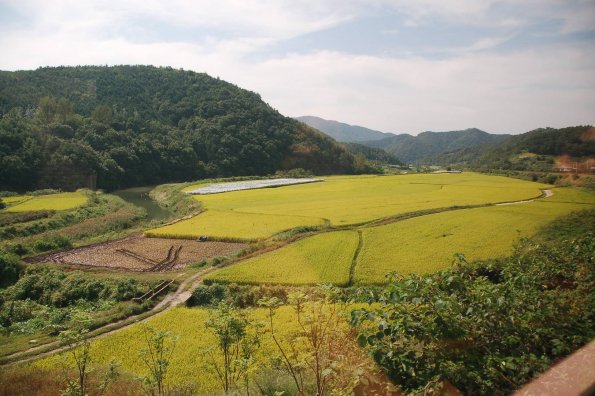 Организации Южной Кореи поставят в КНДР гуманитарную помощь в виде риса