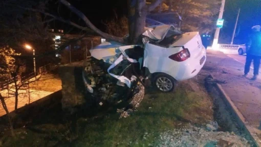 Студенты-иностранцы погибли в страшном ДТП с деревом на арендованном автомобиле в Крыму