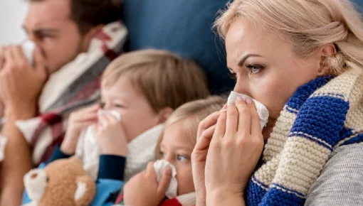 Вирус свиного гриппа набирает обороты в России