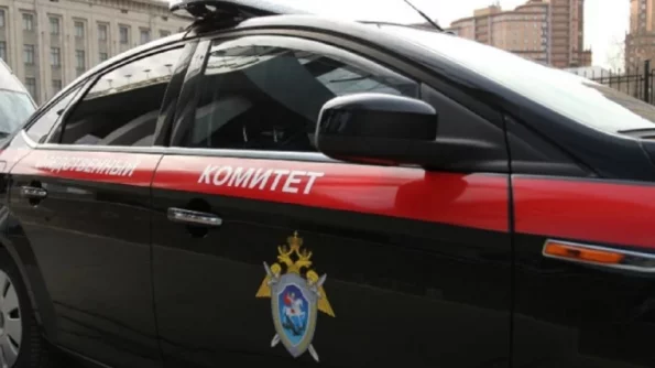 СКР сообщил о судимостях подозреваемых в похищении 8-летней девочки в Калужской области