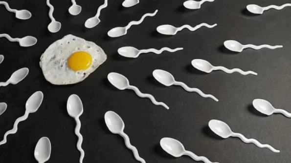 Nature: новый мужской контрацептив полностью обездвиживает сперматозоиды на 2 часа
