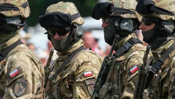 Экс-офицер США Крапивник:  уничтожение бойцами ВСУ наемников из Польши имеет массу причин