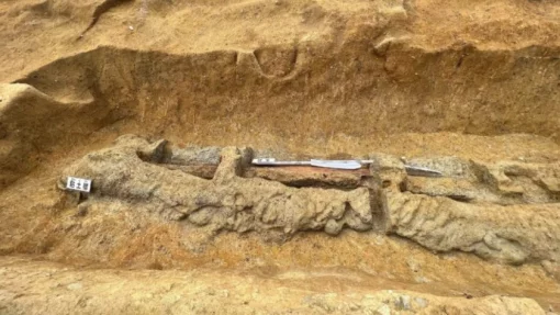 Археологи нашли в Японии огромный меч для защиты от злых духов