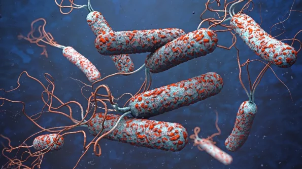 ВОЗ предупреждает о возможной эпидемии холеры в мире