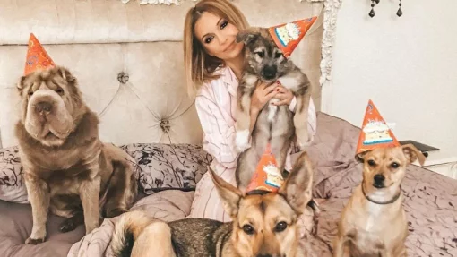 Ольга Орлова сообщила, что ее животные доброжелательно отнеслись к новорожденной дочери