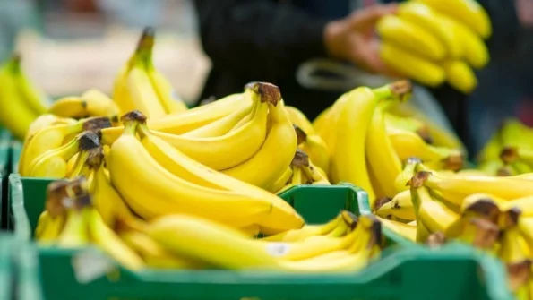 Эксперт рассказала, когда и насколько подешевеют бананы