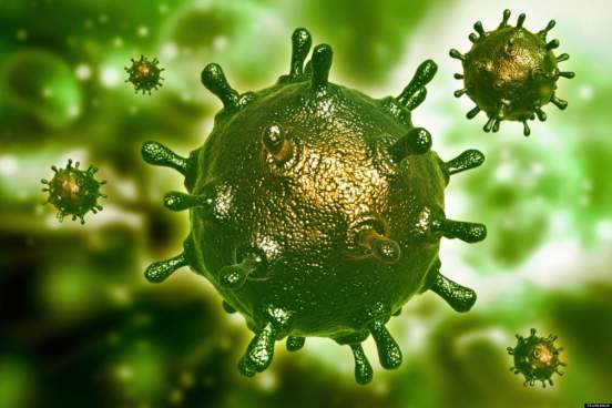 В ВОЗ приблизились к ответу на вопрос о происхождении коронавируса