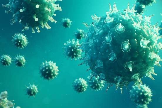 Правительство США обеспокоено выводами экспертов ВОЗ о происхождении коронавируса