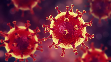Новый штамм британского коронавируса B1525 зафиксирован в 10 странах