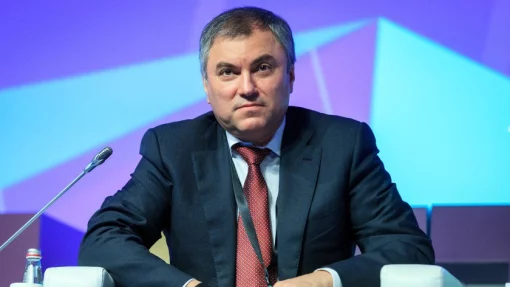 Председатель Госдумы Вячеслав Володин призвал отбирать имущество у критикующих СВО знаменитостей