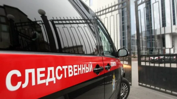 IZ.RU: найдена возможная причина нападения на журналистку «Известий» Графчикову