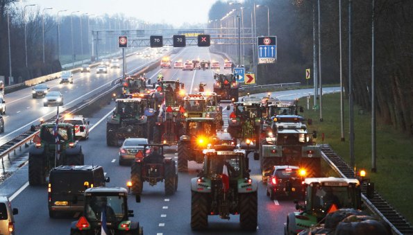 Фермеры Нидерландов продолжают протесты против азотной политики