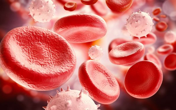 Немецкие ученые: коронавирус вызывает у человека изменения в кровяных клетках