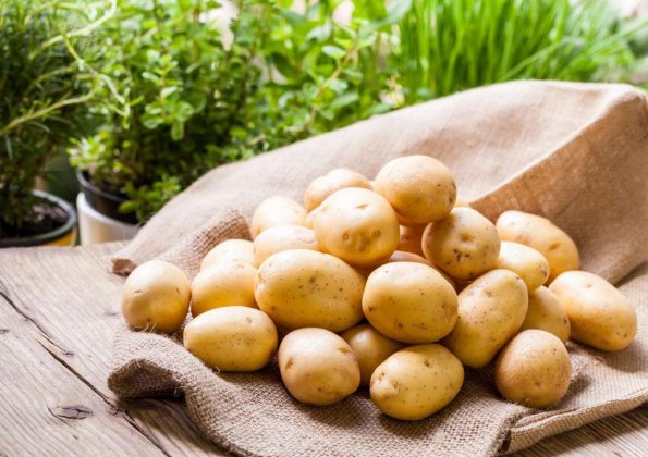 Россия не исключает введения запрета на ввоз картофеля из Азербайджана