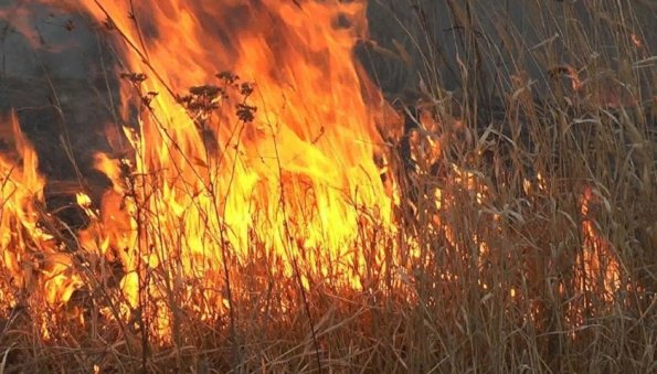 В Ростовской области объявили о пожароопасности высшего класса