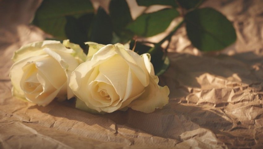 Фанаты Шатунова засыпали белыми розами детский дом, в котором он рос после смерти матери