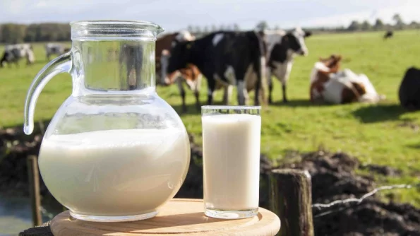 Врач-диетолог из РФ Елена Соломатина проинформировала об опасности употребления молока