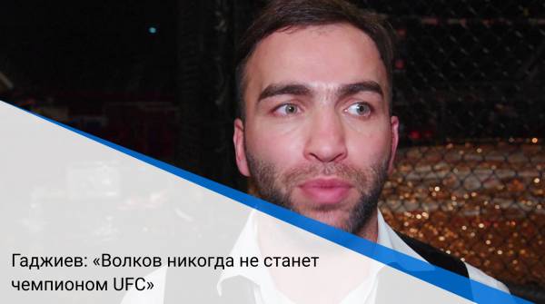 Гаджиев: «Волков никогда не станет чемпионом UFC»