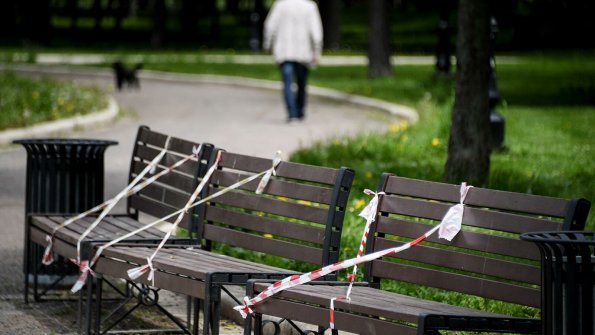 В Москве снова разрешено сидеть на скамейках в городских парках