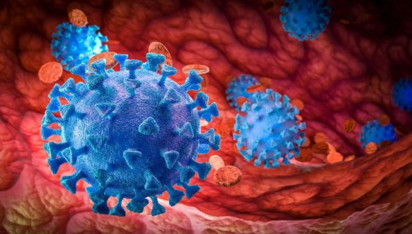 Иммунолог рассказал об особенностях лямбда-штамма коронавируса