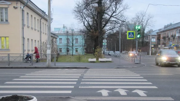 В Петербурге водитель с 89 штрафами сбил двух школьников на пешеходном переходе