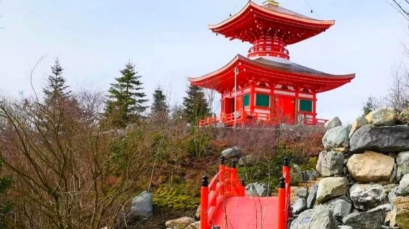 В Краснодаре открылся крупнейший японский парк за пределами Японии