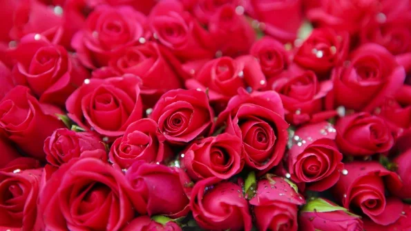 Житель Перми украл из магазина 113 роз и игрушки, чтобы порадовать любимую девушку
