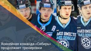 Хоккейная команда «Сибирь» продолжает тренировки