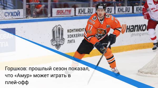 Горшков: прошлый сезон показал, что «Амур» может играть в плей-офф
