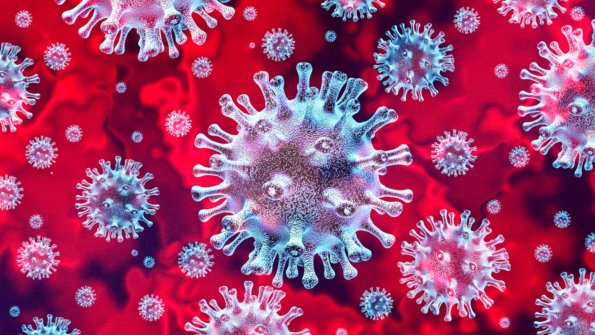 Учёные выявили еще два опасных для людей коронавируса