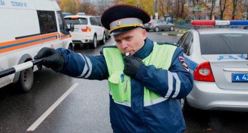 Инспекторы ДПС перевели утят через дорогу в Москве