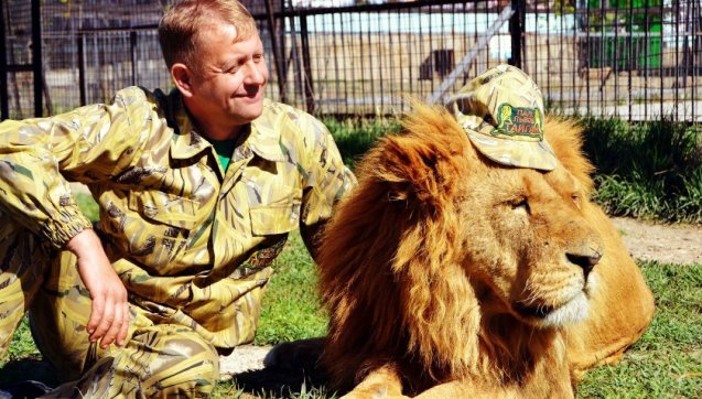 Директор самого крупного в России и Европе сафари-парка львов «Тайган» пойдет под суд