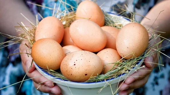 Lenta.Ru: Турист из РФ побывал в Грузии и удивился ценам на куриные яйца в 2023 году