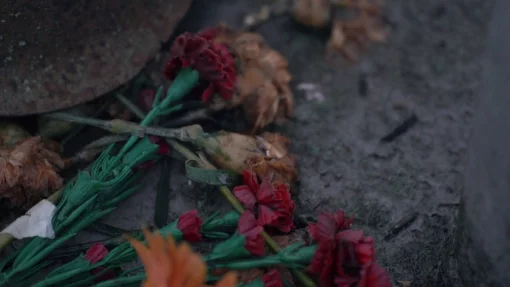 Посольство Украины в Германии отказалось возлагать цветы к советским памятникам в Берлине