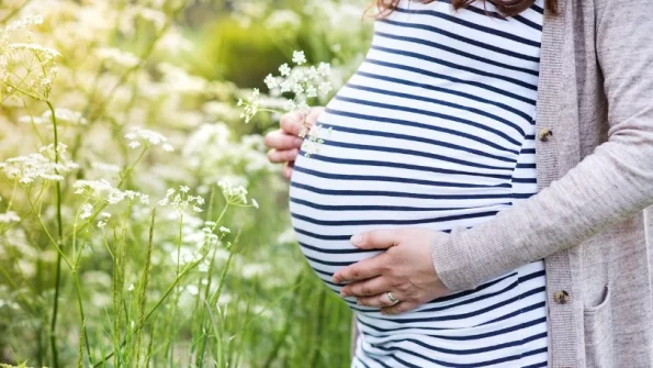 Хозяйка дома не заметила, что её горничная беременна, и удивилась, когда та родила