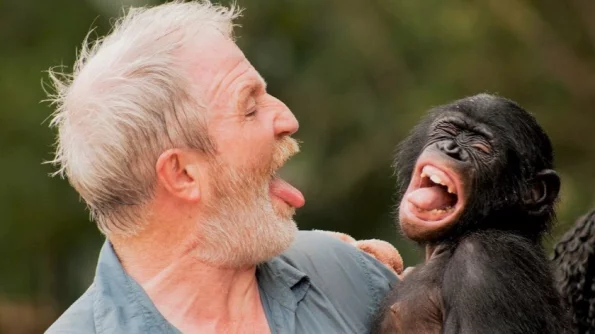 Science: интеллект человека превосходит обезьяний из-за генетической мутации
