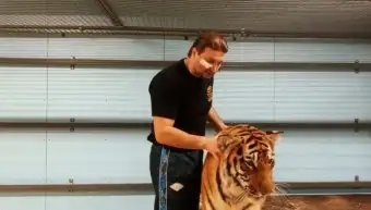 Дрессировщик Эдгард Запашный показал стране тигра, по вине которого ему наложили 14 швов