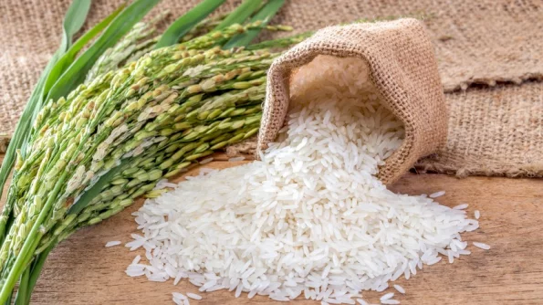 Доктор Мясников развеял миф о пользе рисовой диеты для суставов