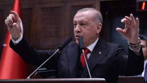 Телохранитель главы Турции Эрдогана спас его от "нашествия" пчел