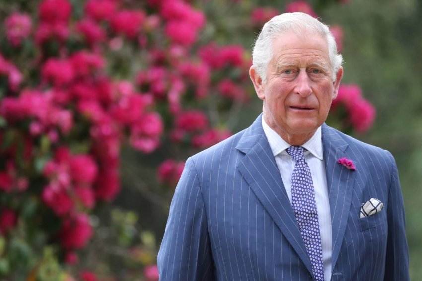 Принц Чарльз пришел в ярость после обвинений в расизме по отношению к собственному внуку