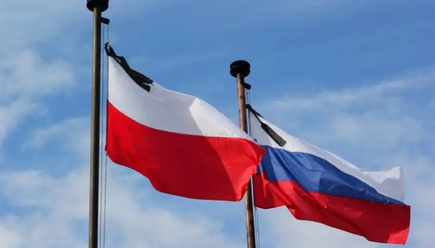В МИД России прокомментировали претензии Польши к РФ о выплате военных репараций
