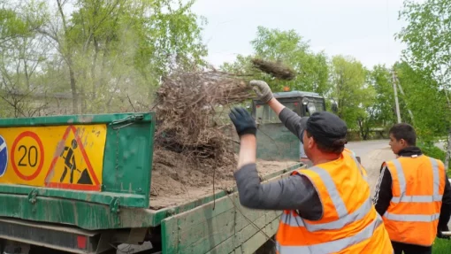 В Новосибирске коммунальщики «борются» с мусором с помощью ядовитого порошка
