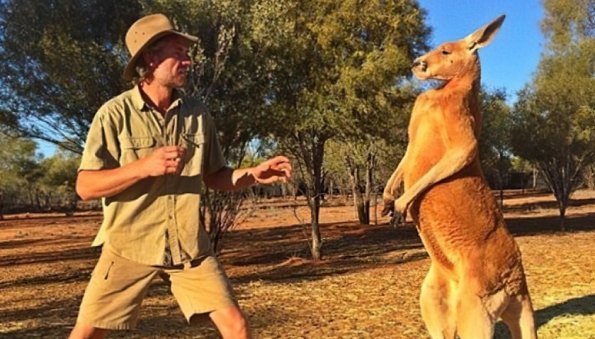 В Австралии 77-летнего мужчину убил кенгуру