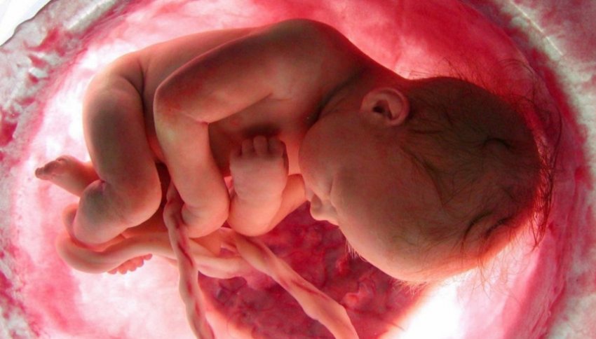Младенцы реагируют на вкус и запах в утробе матери