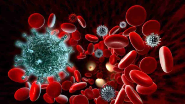 Биолог Анча Баранова: коронавирус не способен спровоцировать СПИД