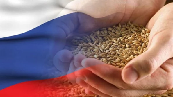 Россия становится главным экспортером зерна в мире
