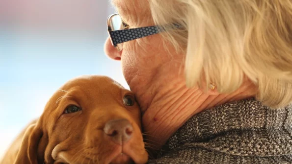 Владельцы собак реже подвержены деменции благодаря окситоцину
