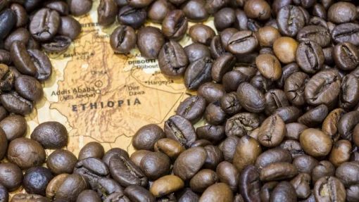 Эфиопия запретила вывозить кофе в любом количестве и в любом виде
