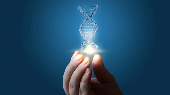 Британские ученые нашли в молекулах РНК людей и животных логический вентиль